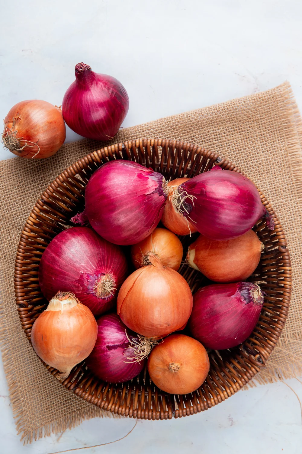 Onion powder ingredient